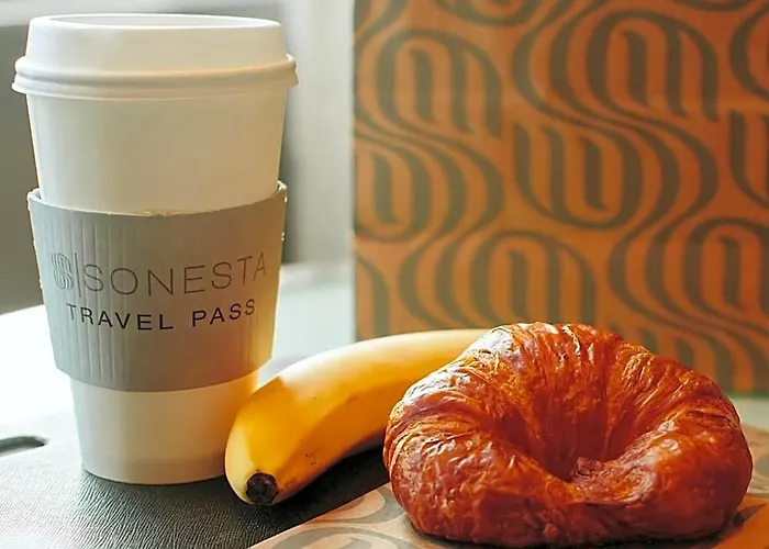 Sonesta Es Chicago - Hotel